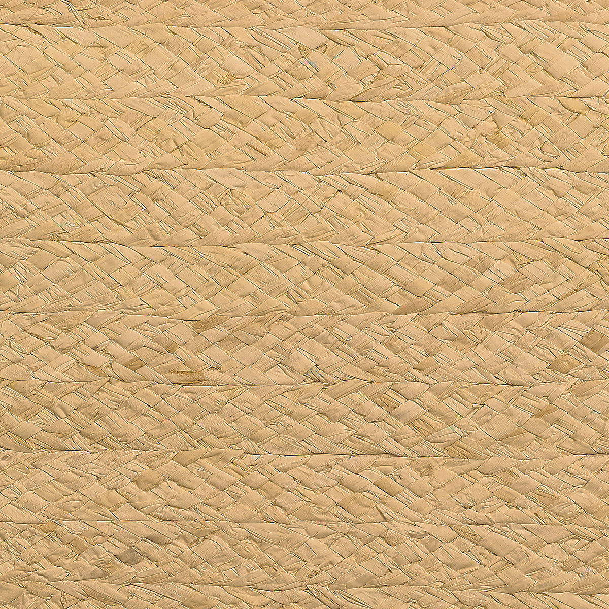 Braided Raffia — Natural Essence