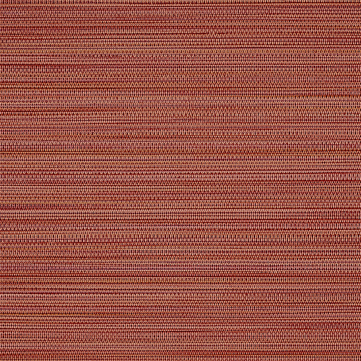 Cinnamon