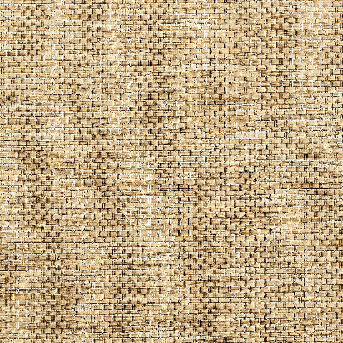 Beige Breeze