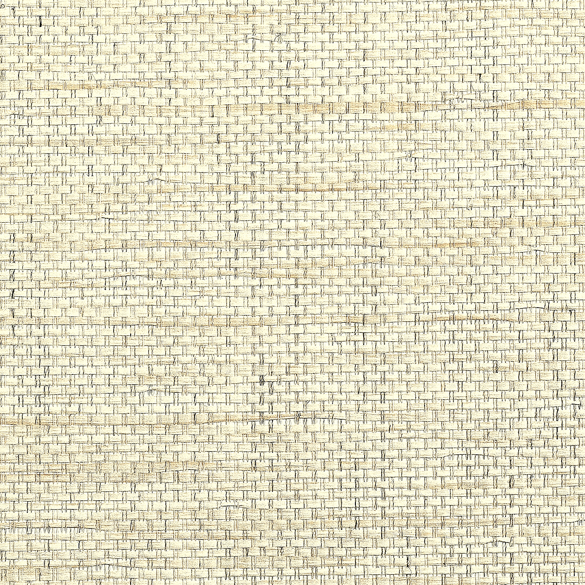 Ivory Dream