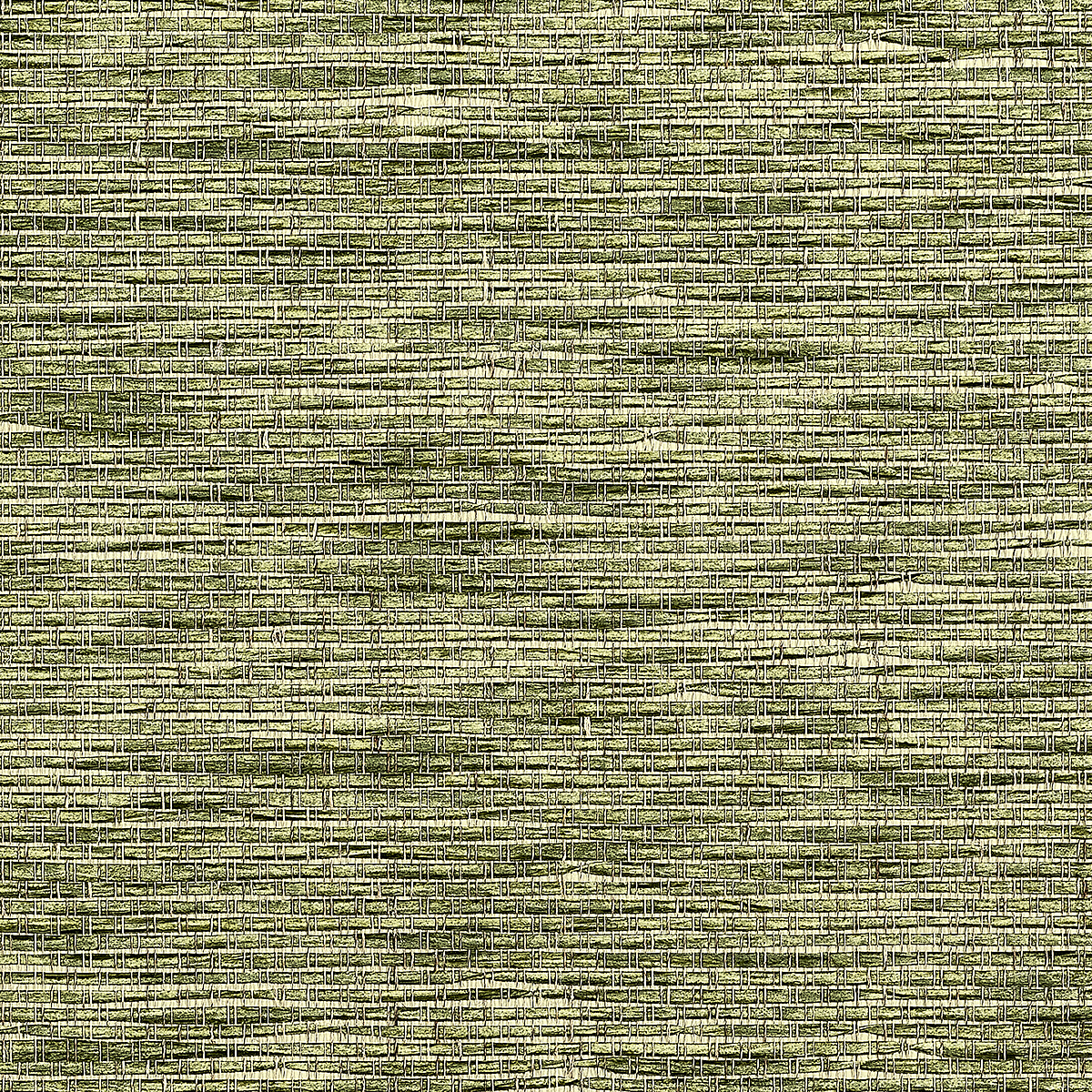 Willow Whisper