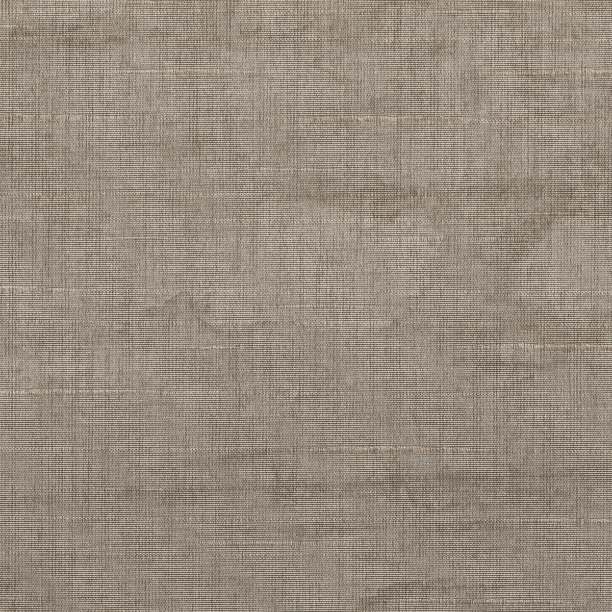 Taupe Tranquility