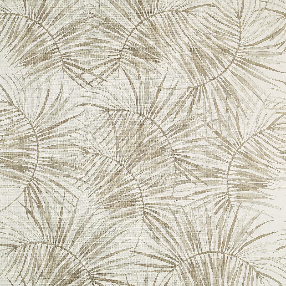 Palm Shadow on Manila Hemp