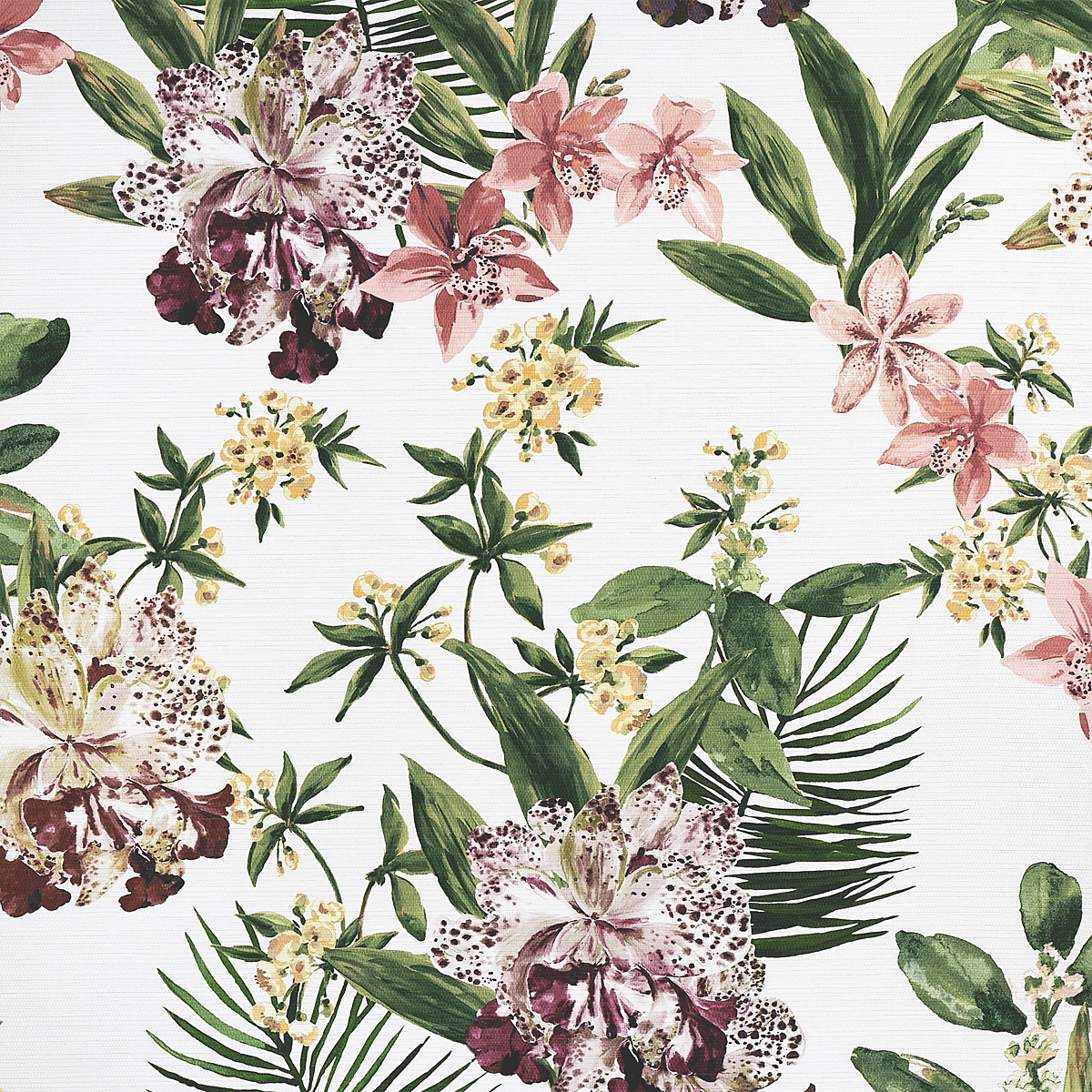 Mai Tai Multi on Woven Walls