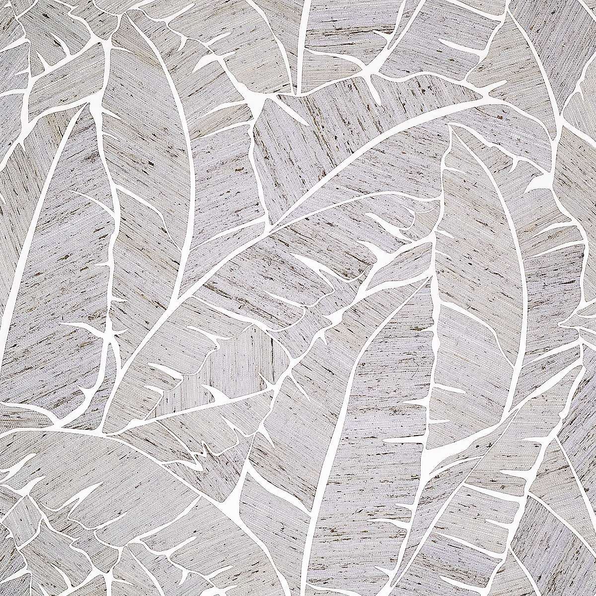 Palm Paradise — Silvershade