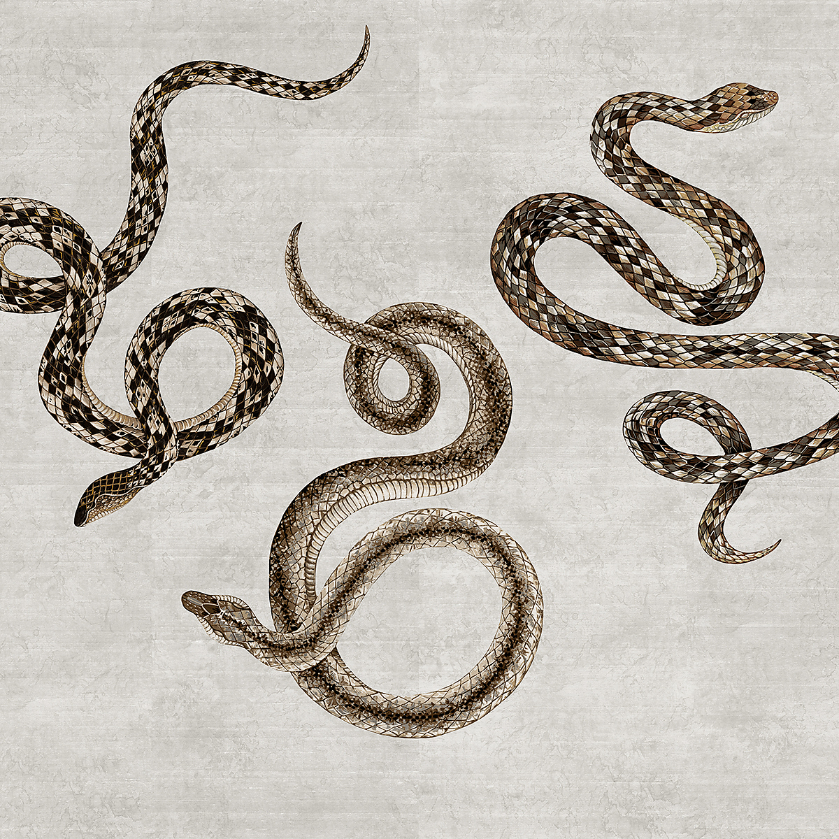 Serpent — Silver Python on Star Dust Silk