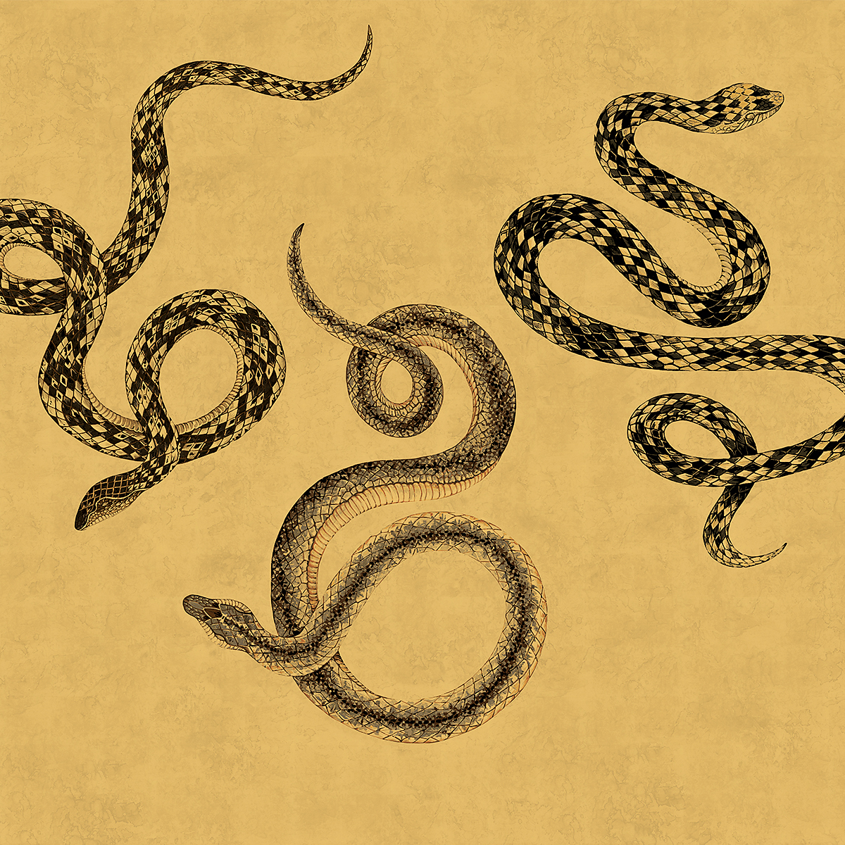 Goldscale on Gilded Metallic Leaf