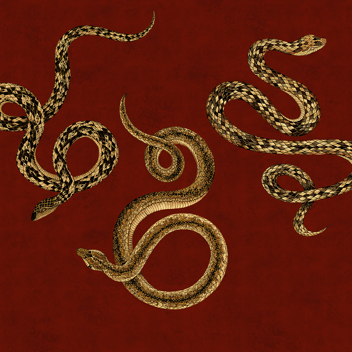 Serpent Fire on Gilded Metallic Leaf