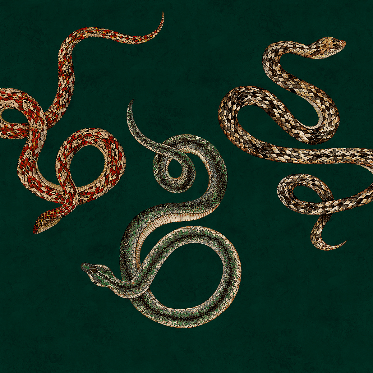 Mystic Hiss on Gilded Metallic Leaf