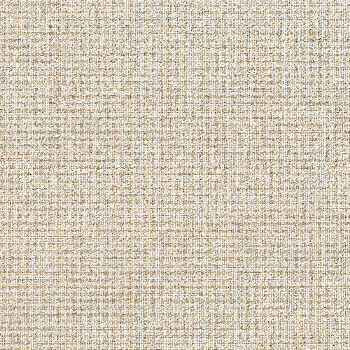 Ivory Intuition