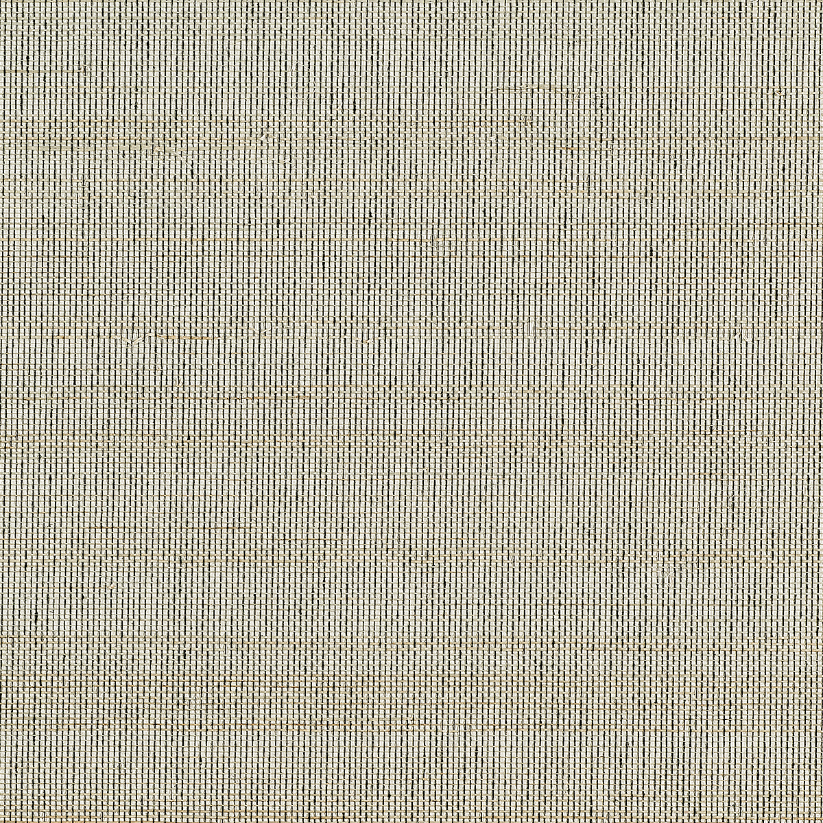 Grulla Grey