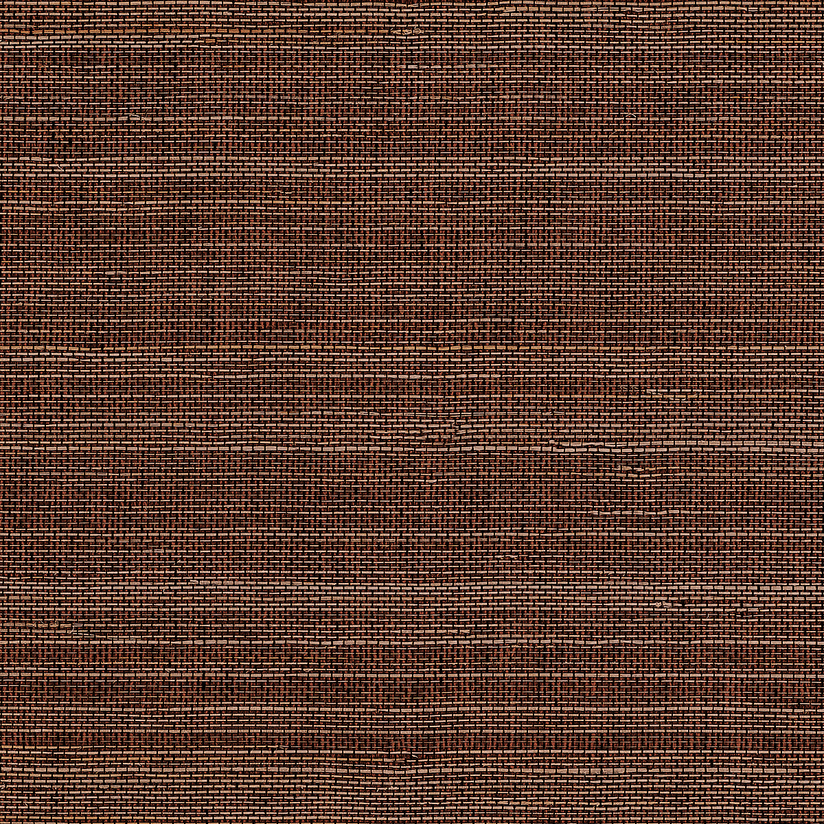Bay Brown