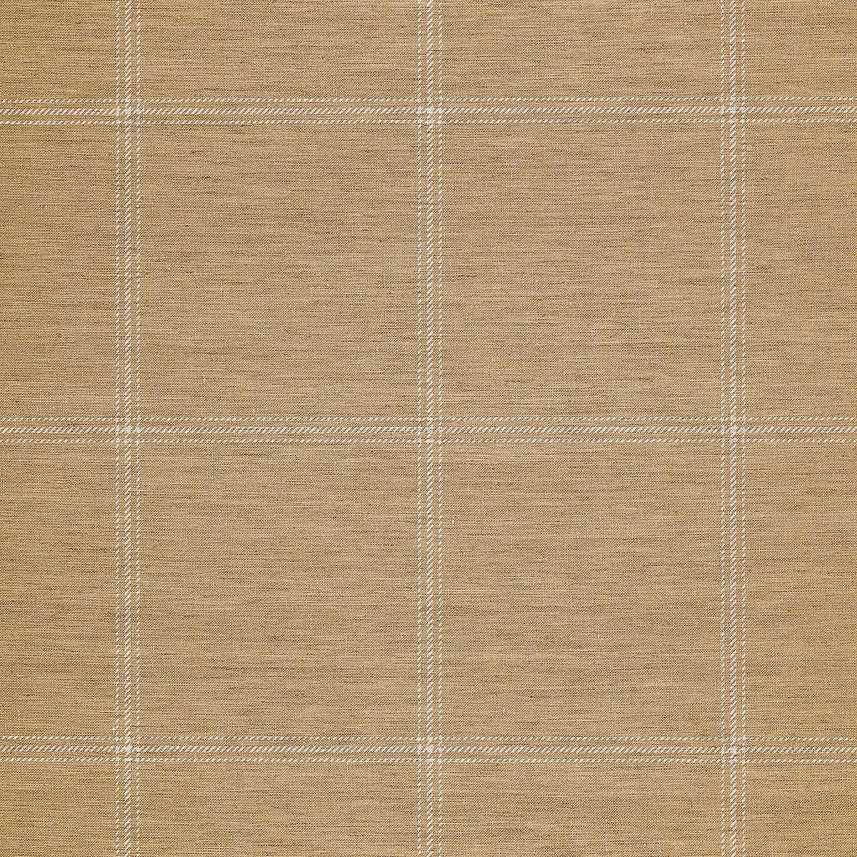 White and Camel on Canvas Linen