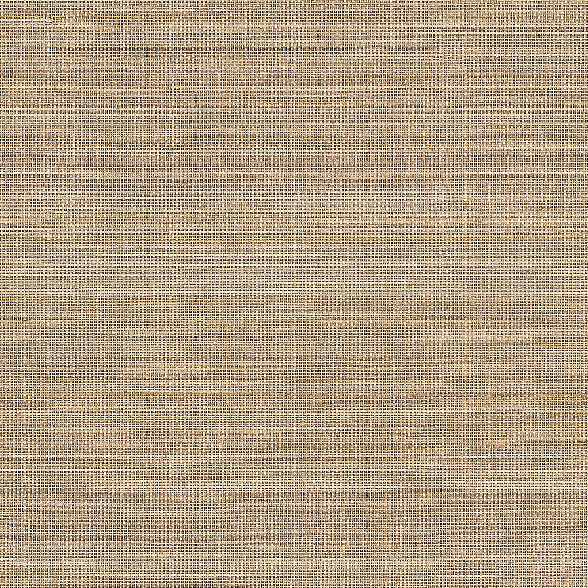 Sand Storm