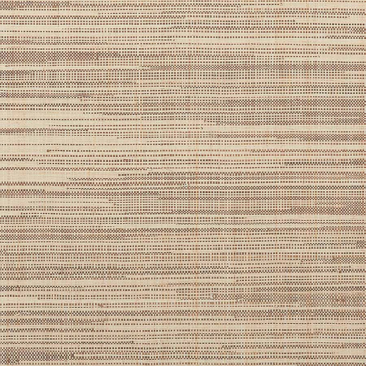 Tree Trunk Brown