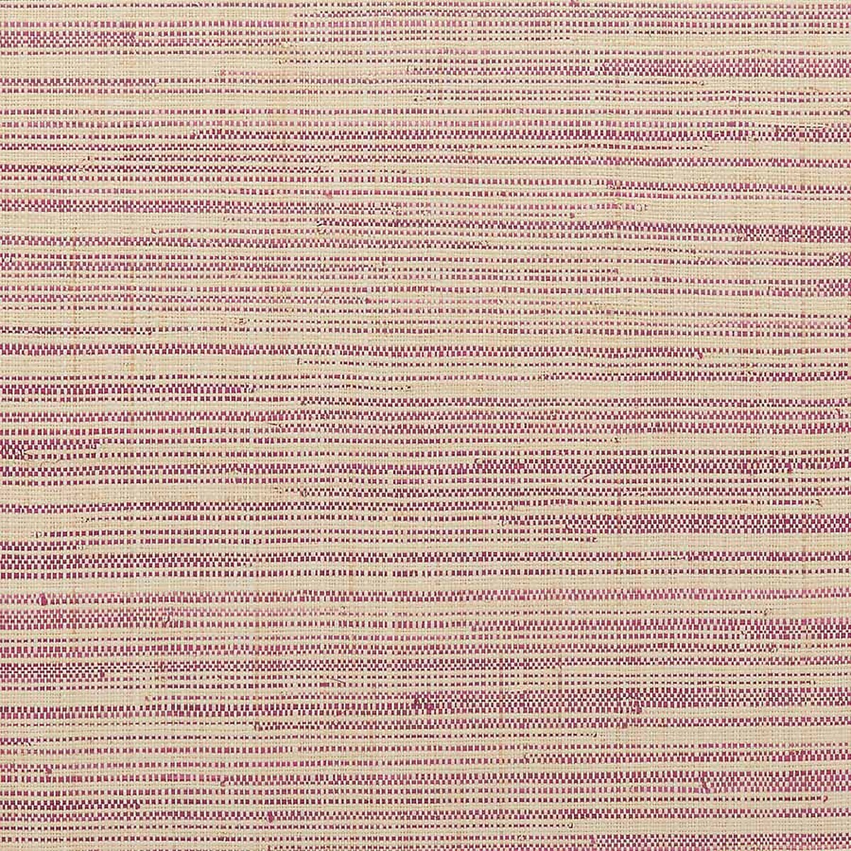 Dragonfruit Pink