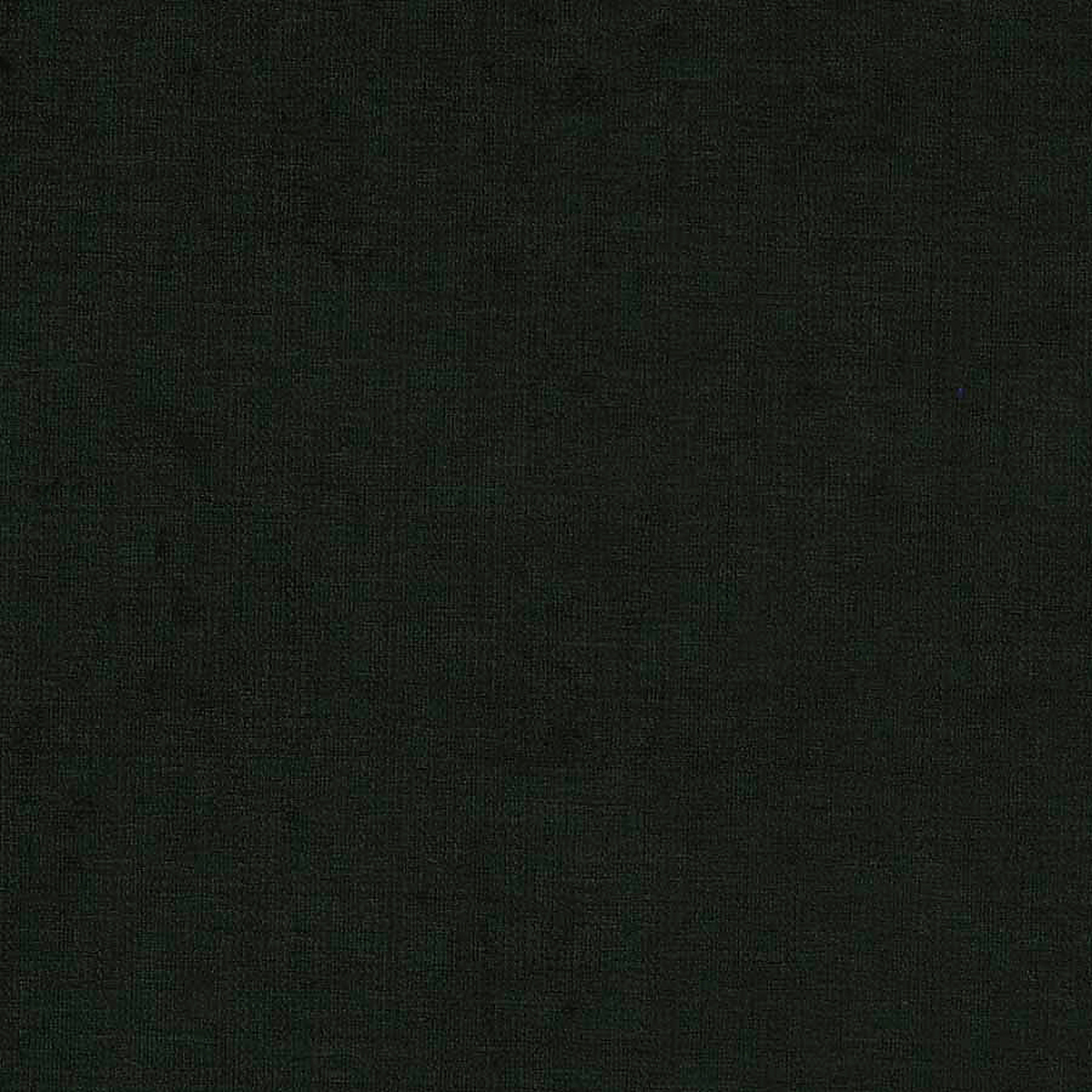 Foresta Umbra