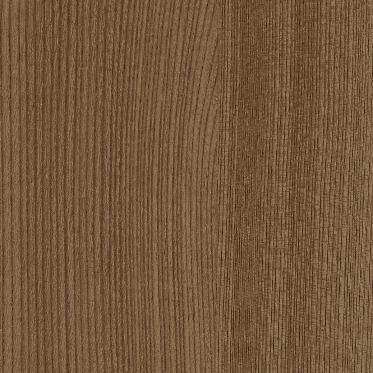 Charmed Cedar