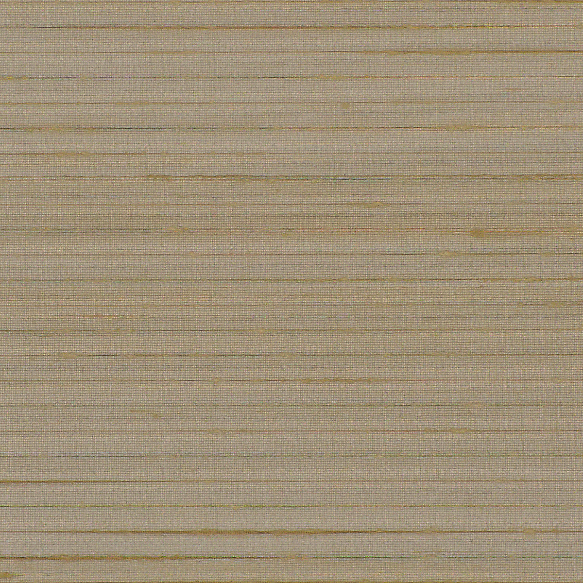 Latitude Silk Eggshell