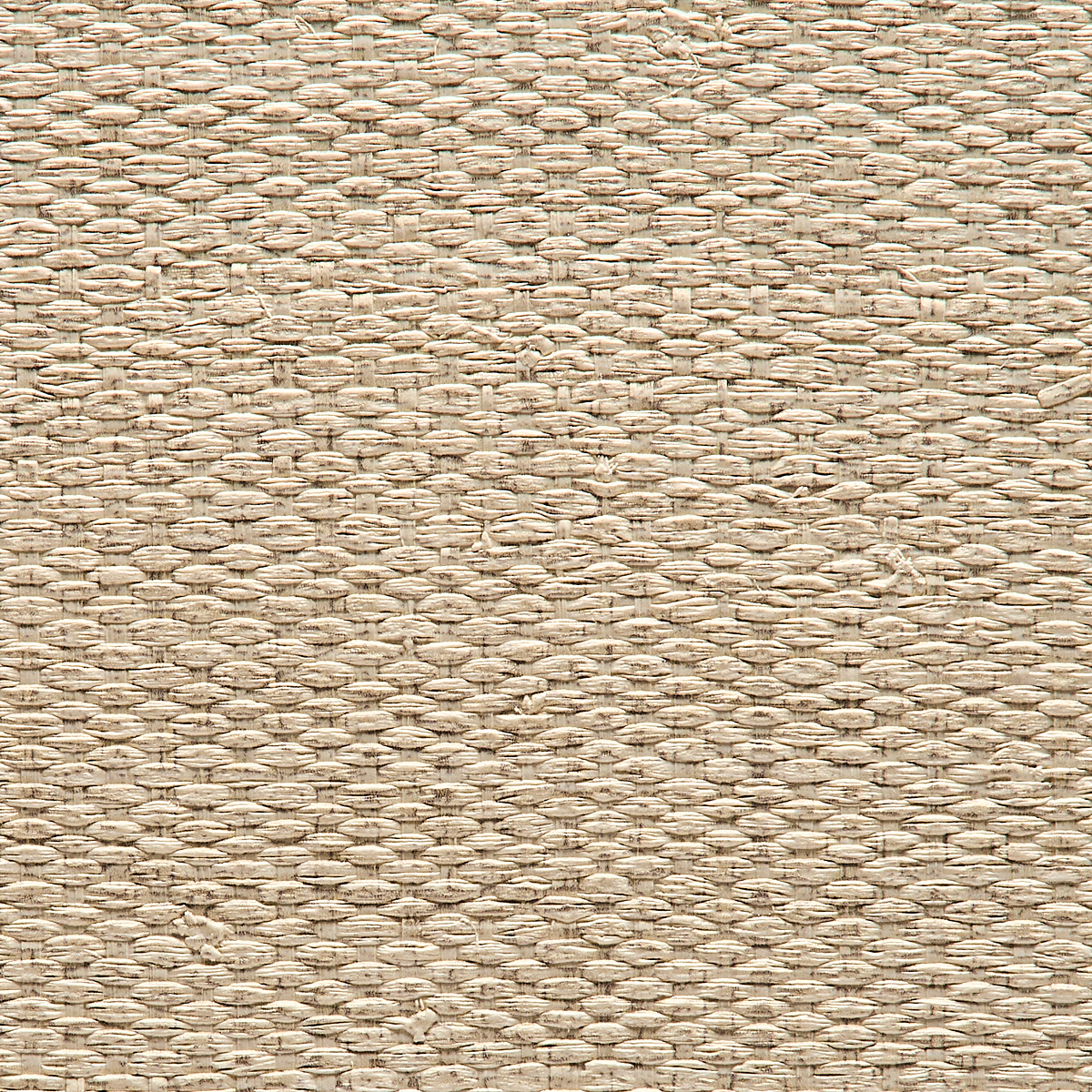 Illuminated Ivory