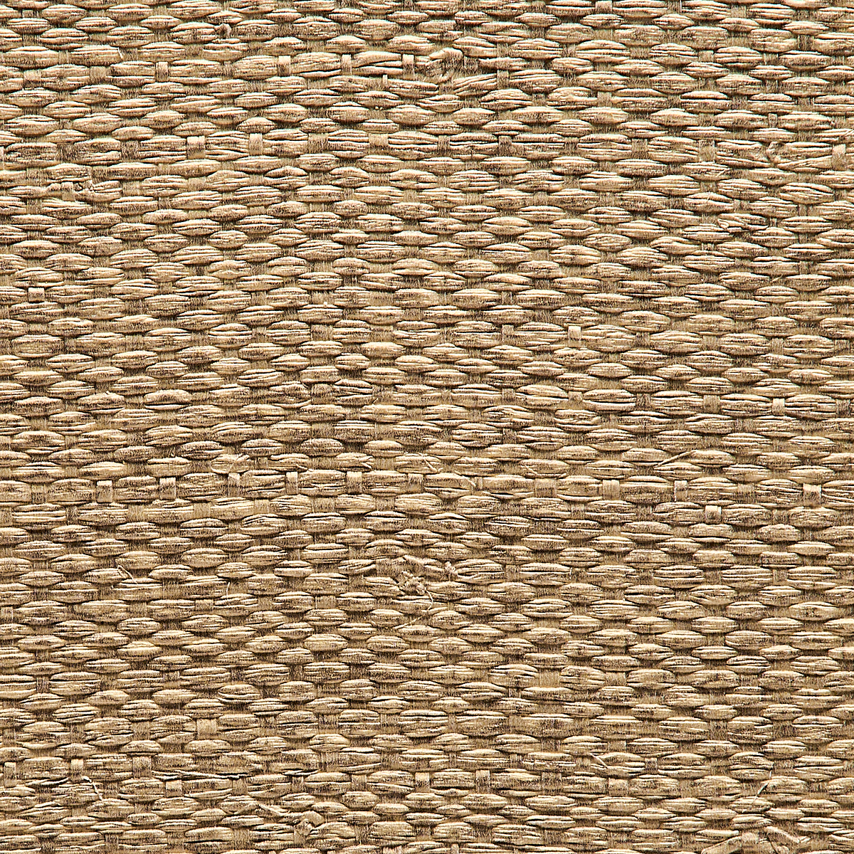 Gleaming Bamboo