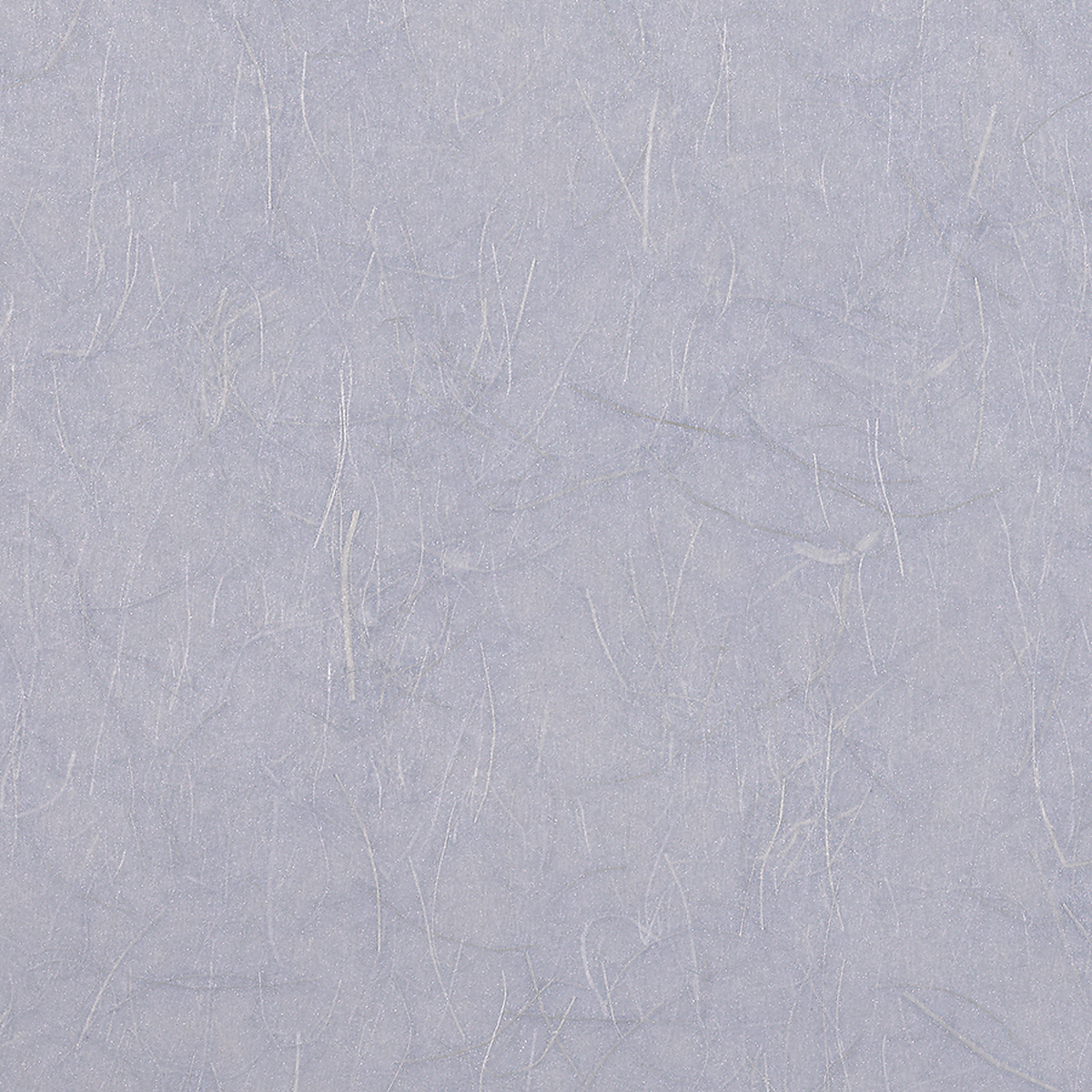 Japanese Plum