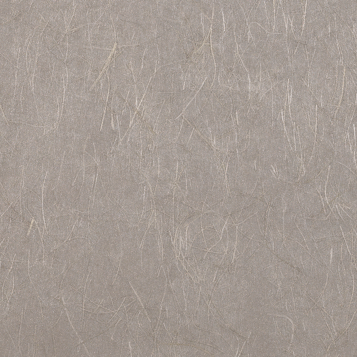 Samurai Silver