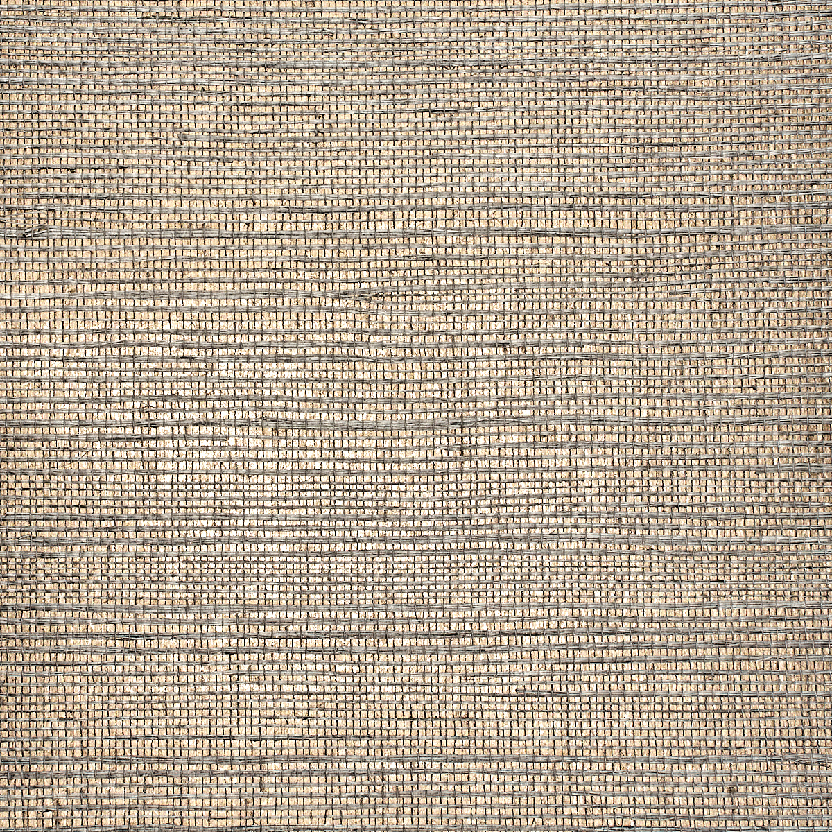 Well Traveled Taupe