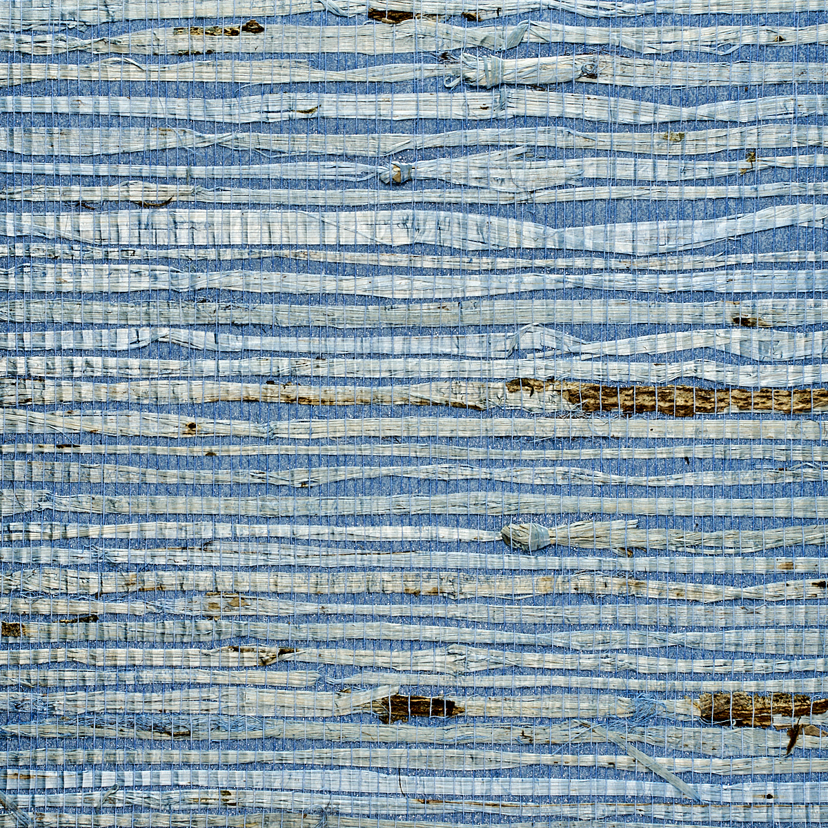 Mediterranean