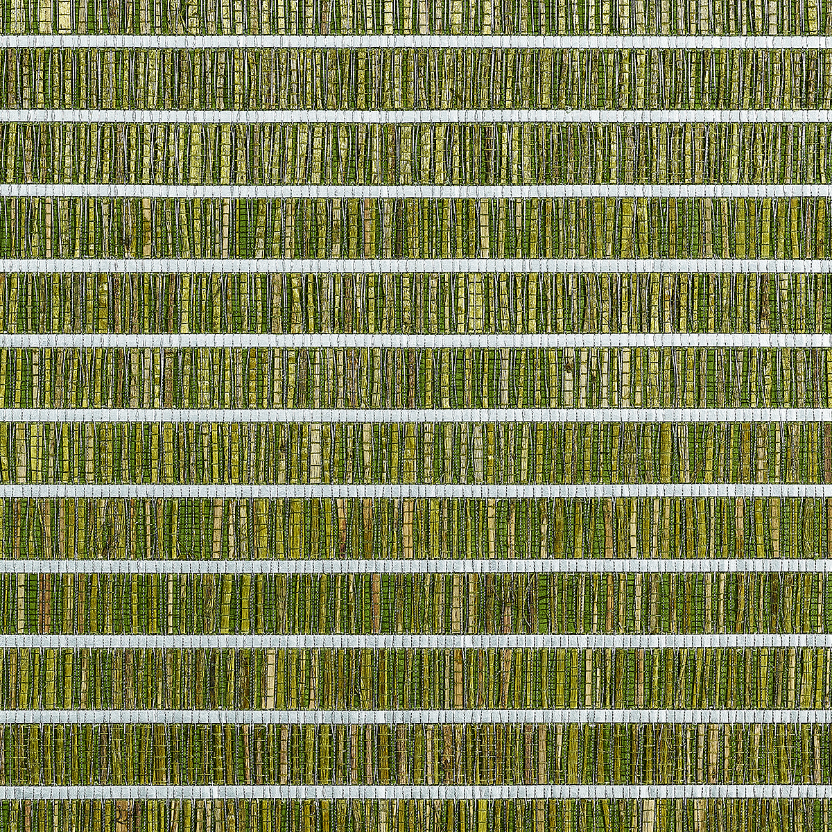 Soft Rush Green