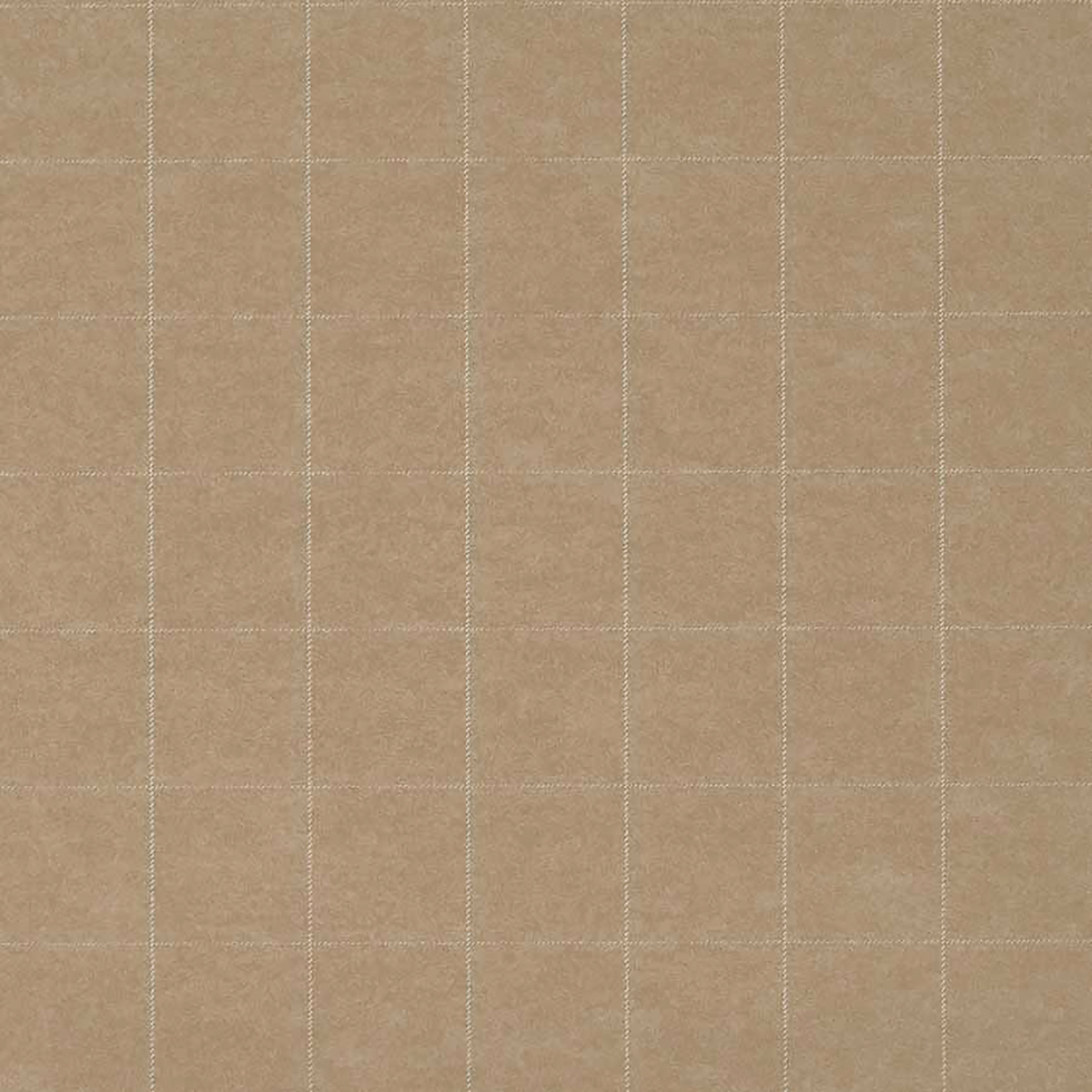 White on Tan