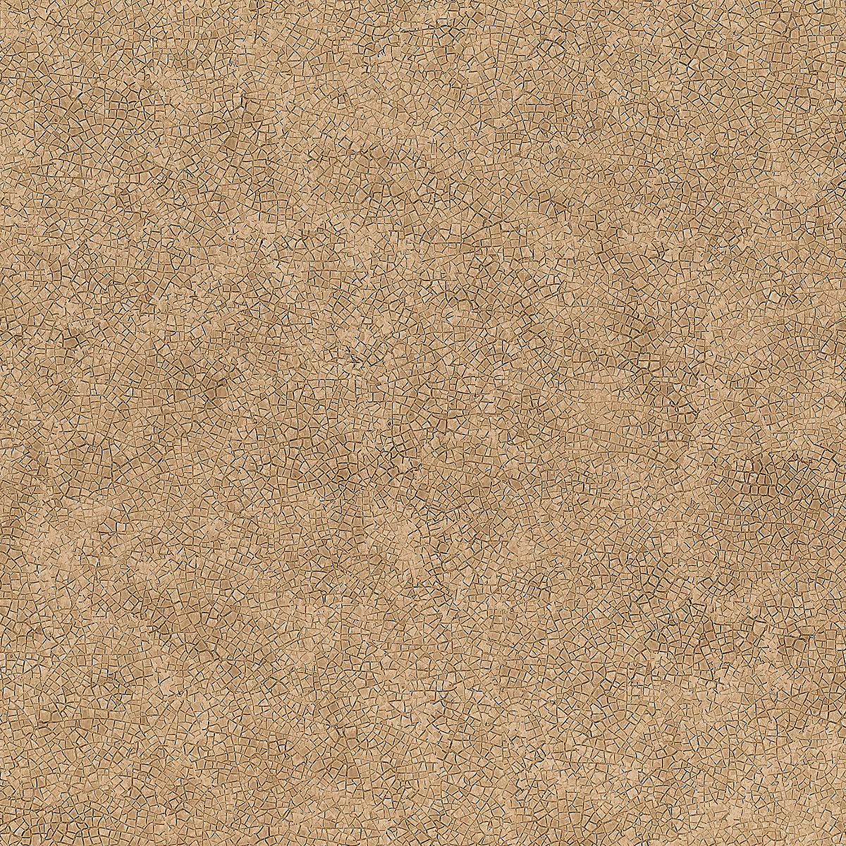 Vinyl Fresco — Nomad