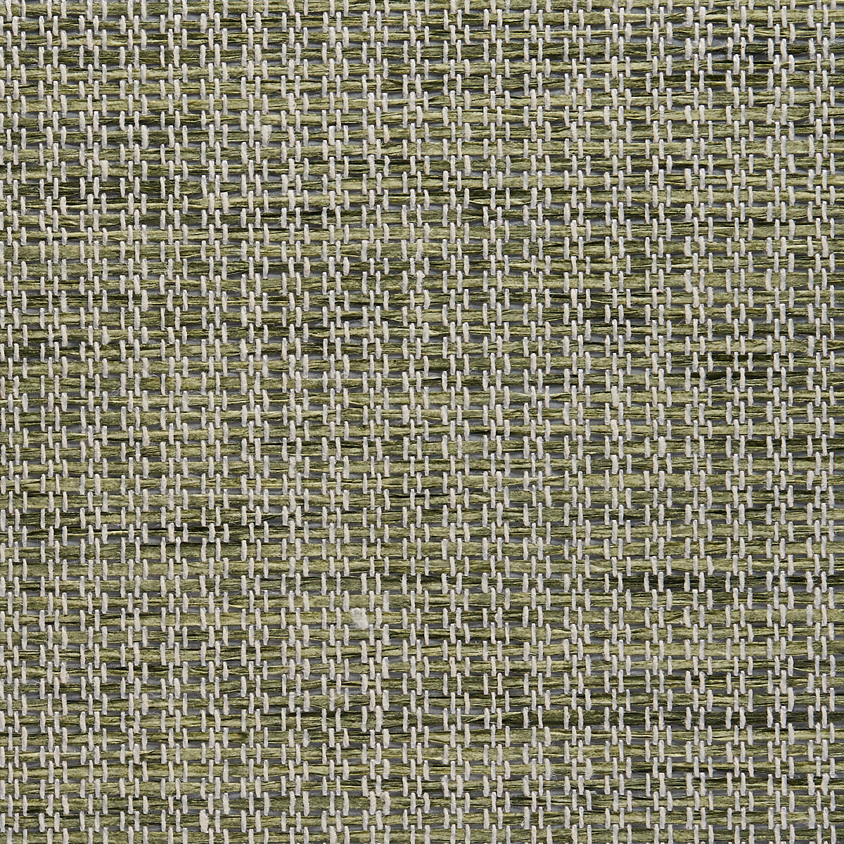 Ivy Green
