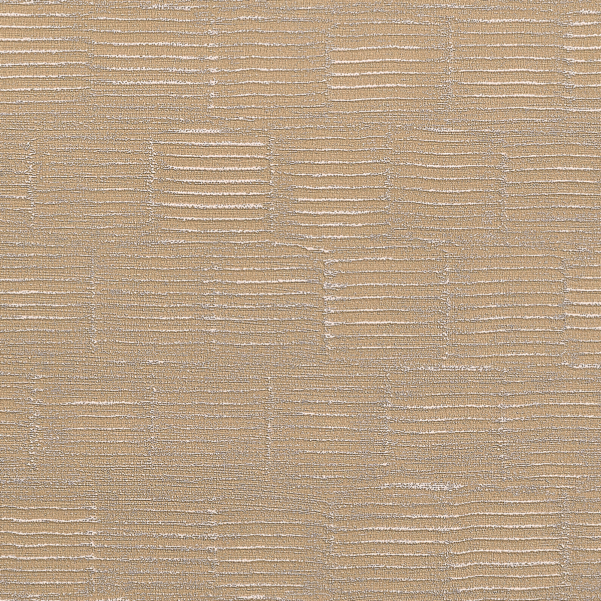 Sand Dune