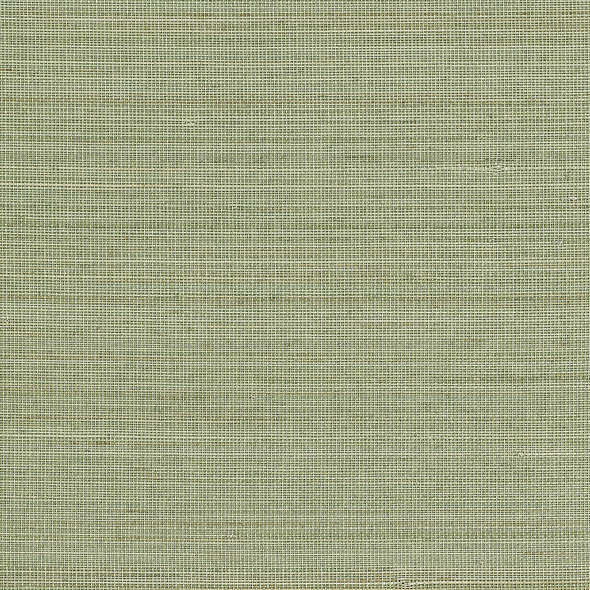 Calm Celadon