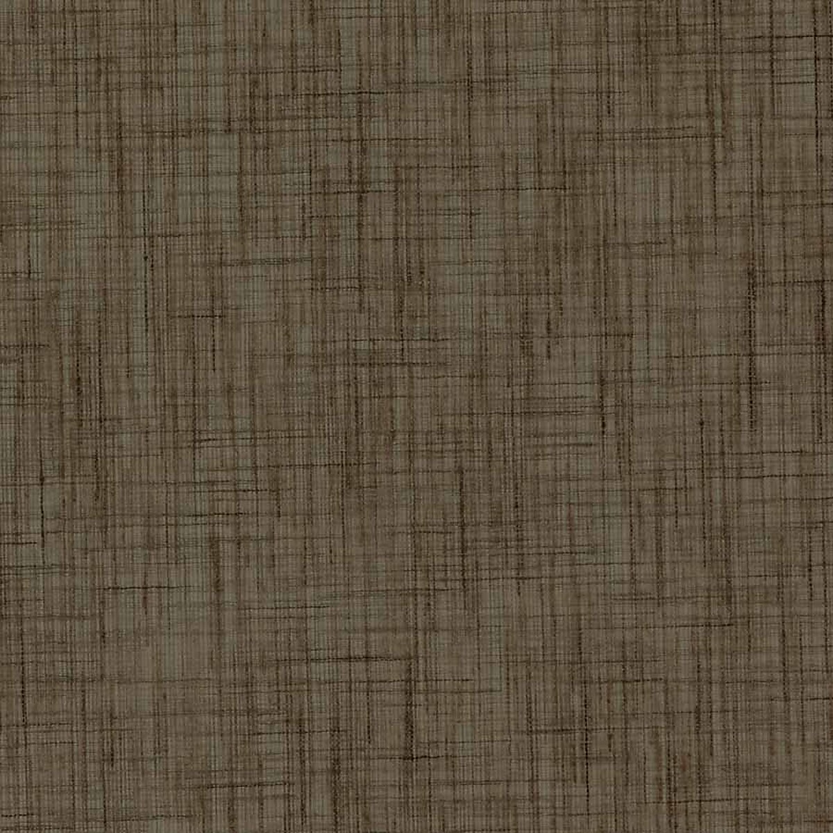 Taupe Terrain
