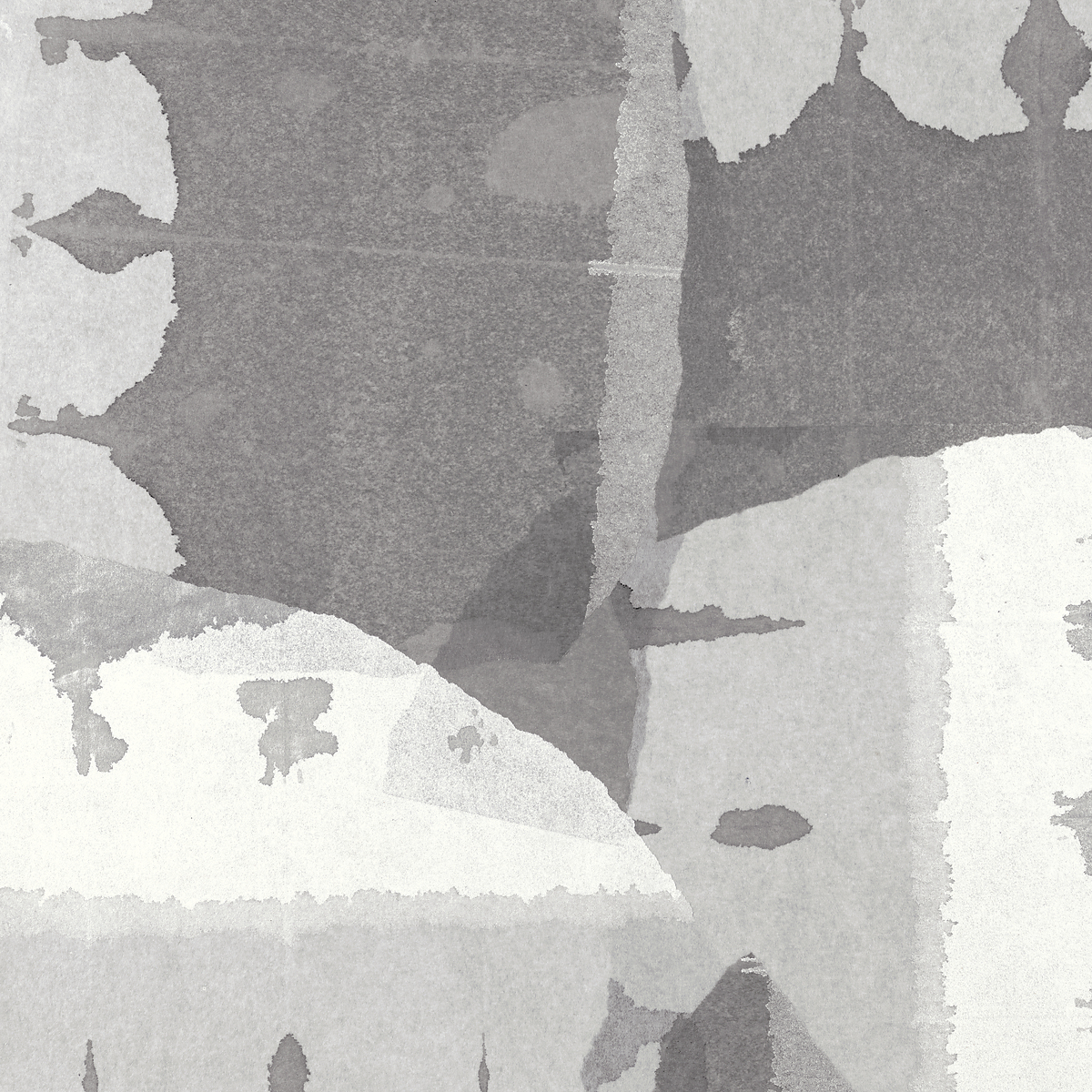 Pigmented Grey