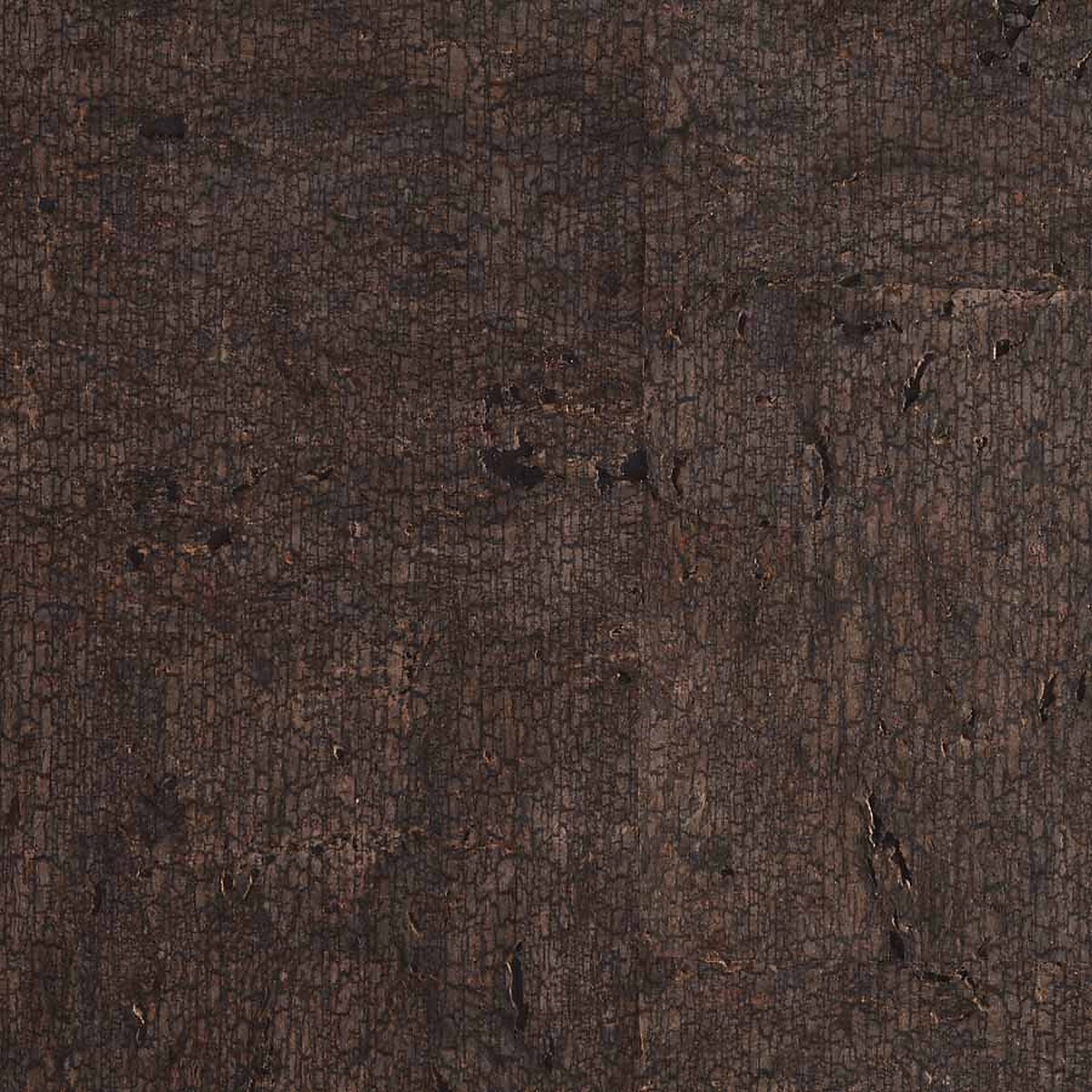 Blackened Bark