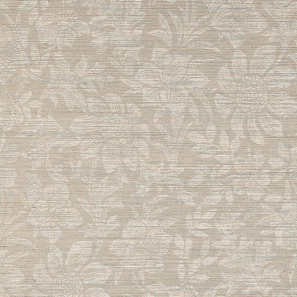 Faint Flora on Manila Hemp