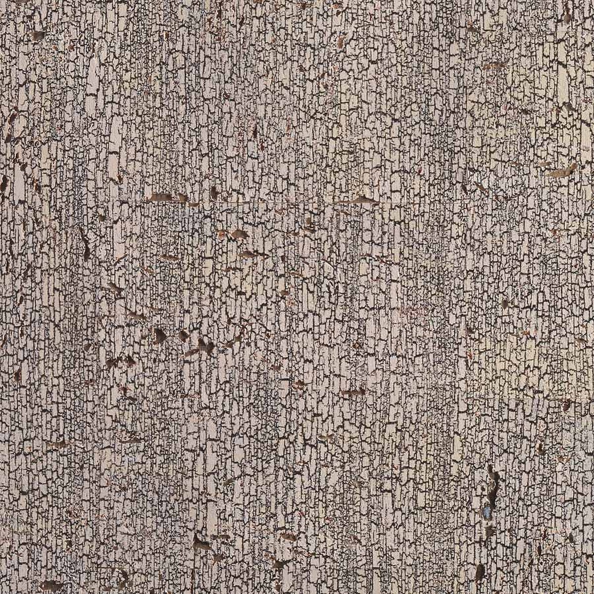 Birch Rind