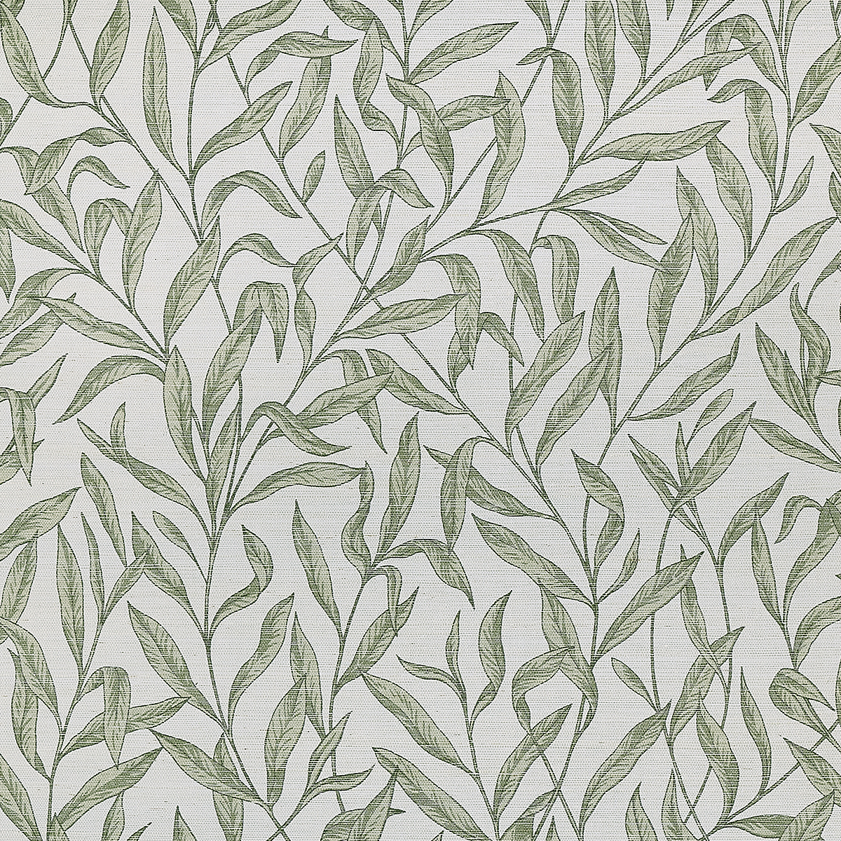 Ivy on Manila Hemp