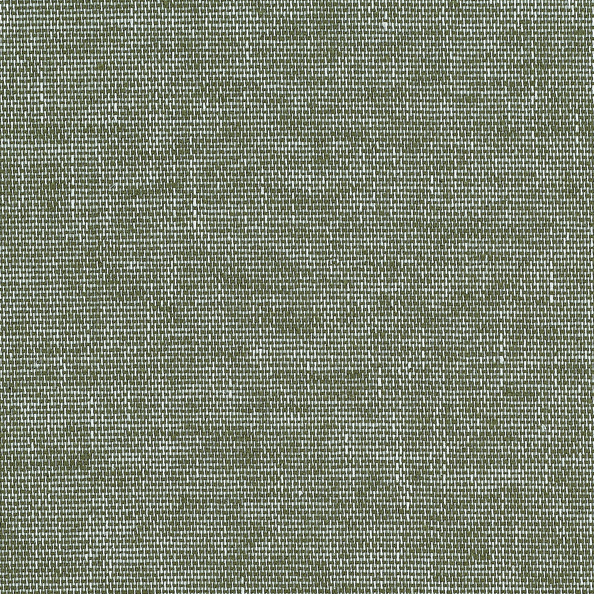 Grassland