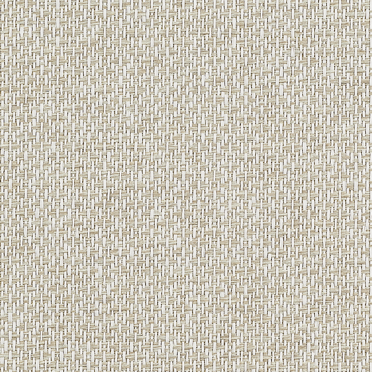 Mediterranean Weave — Seashell