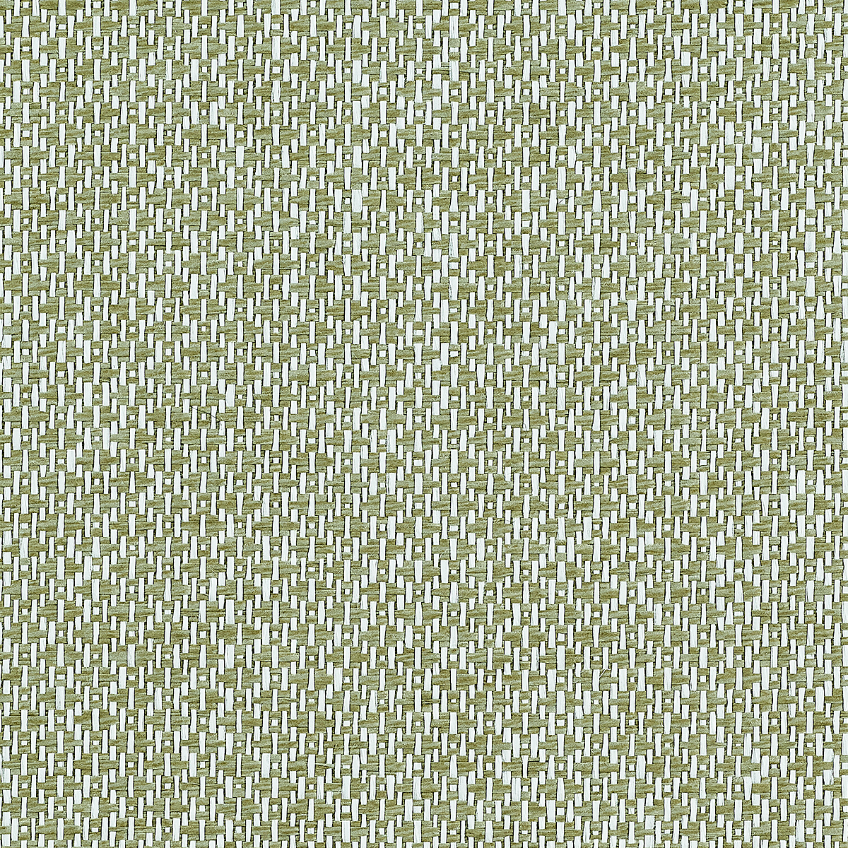 Terra Verde