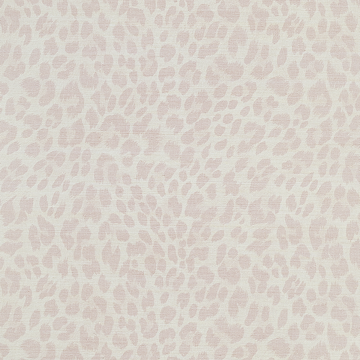 Rosy Spots on Manila Hemp