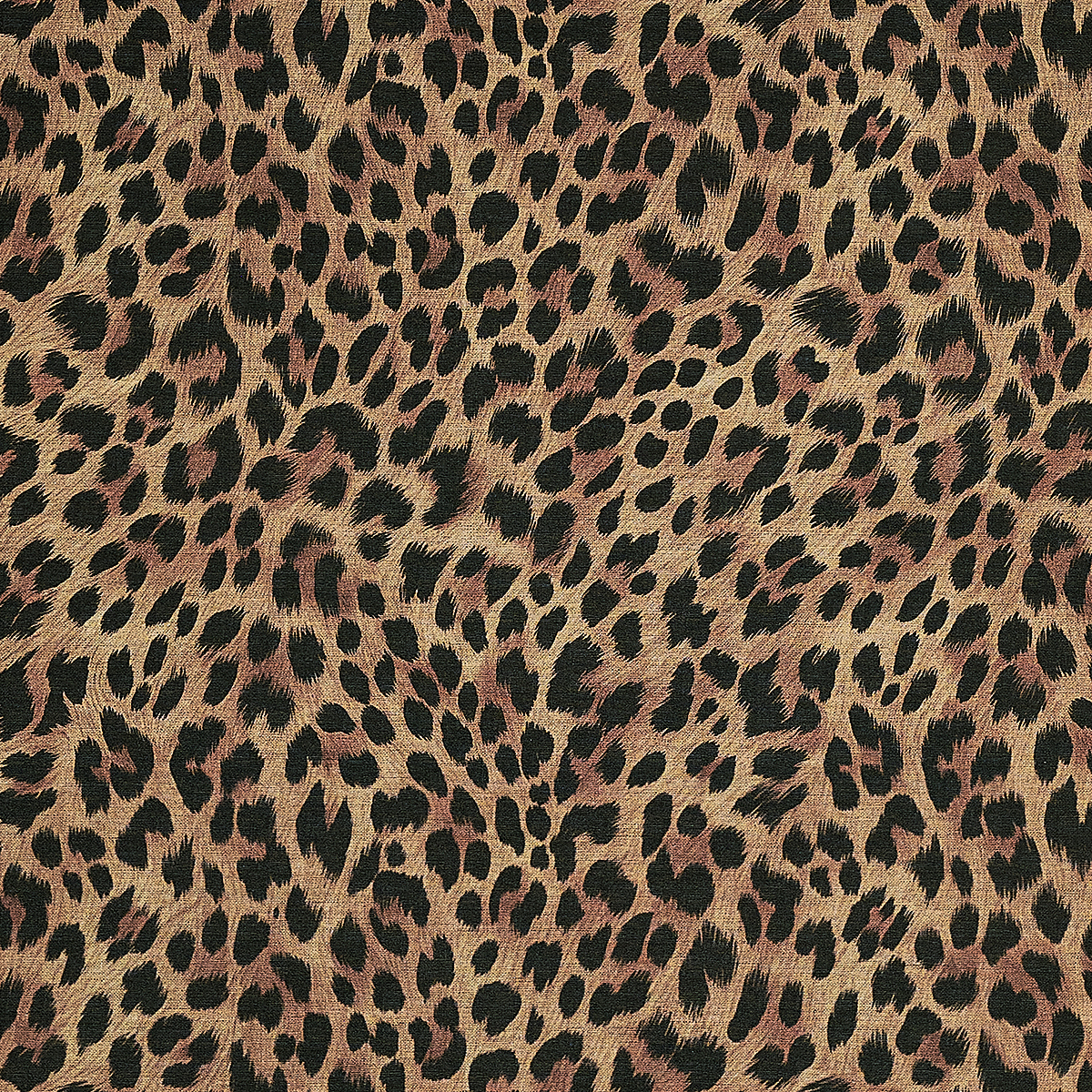 Mocha Mane on Canvas Linen