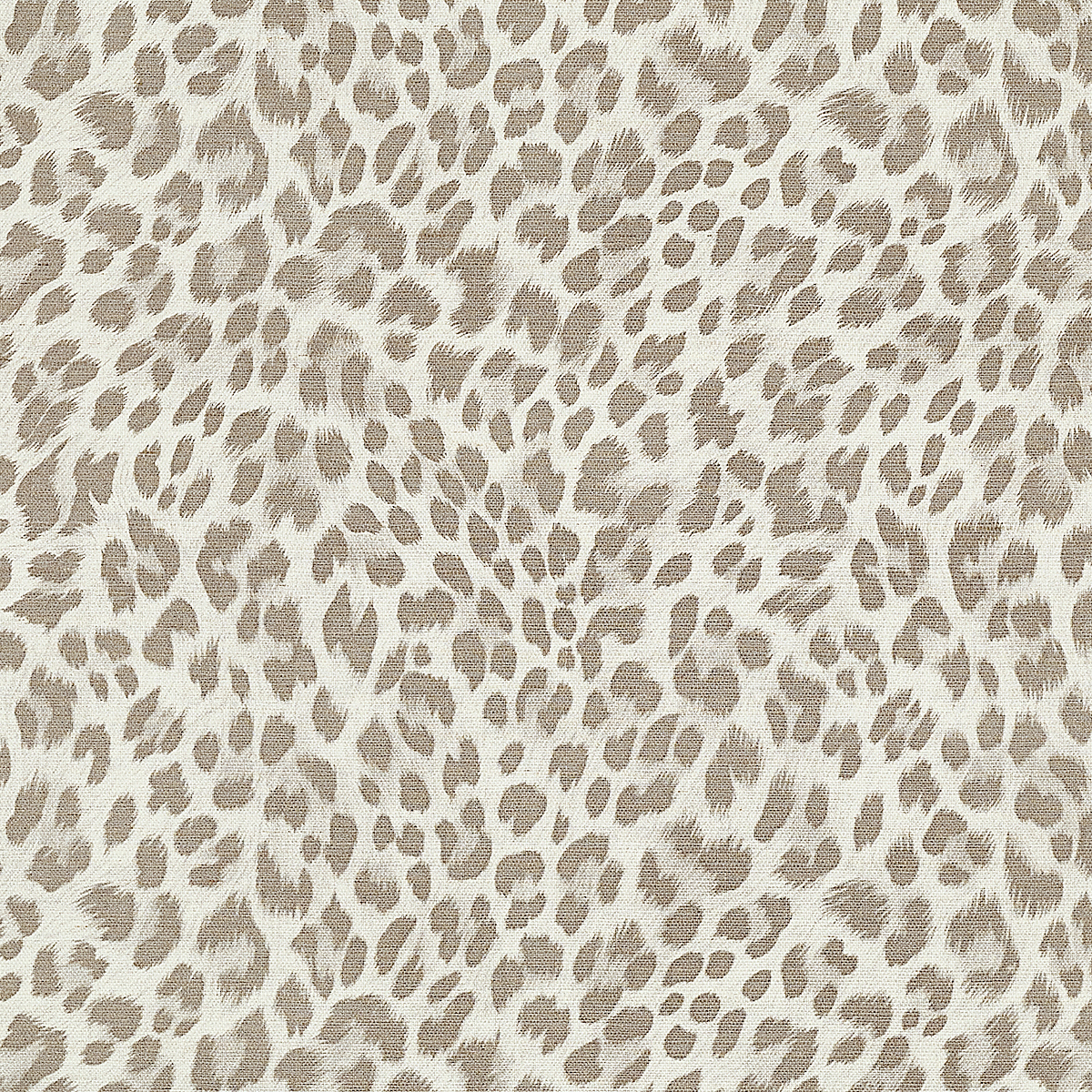 Wild Thing — Birman Safari on Manila Hemp