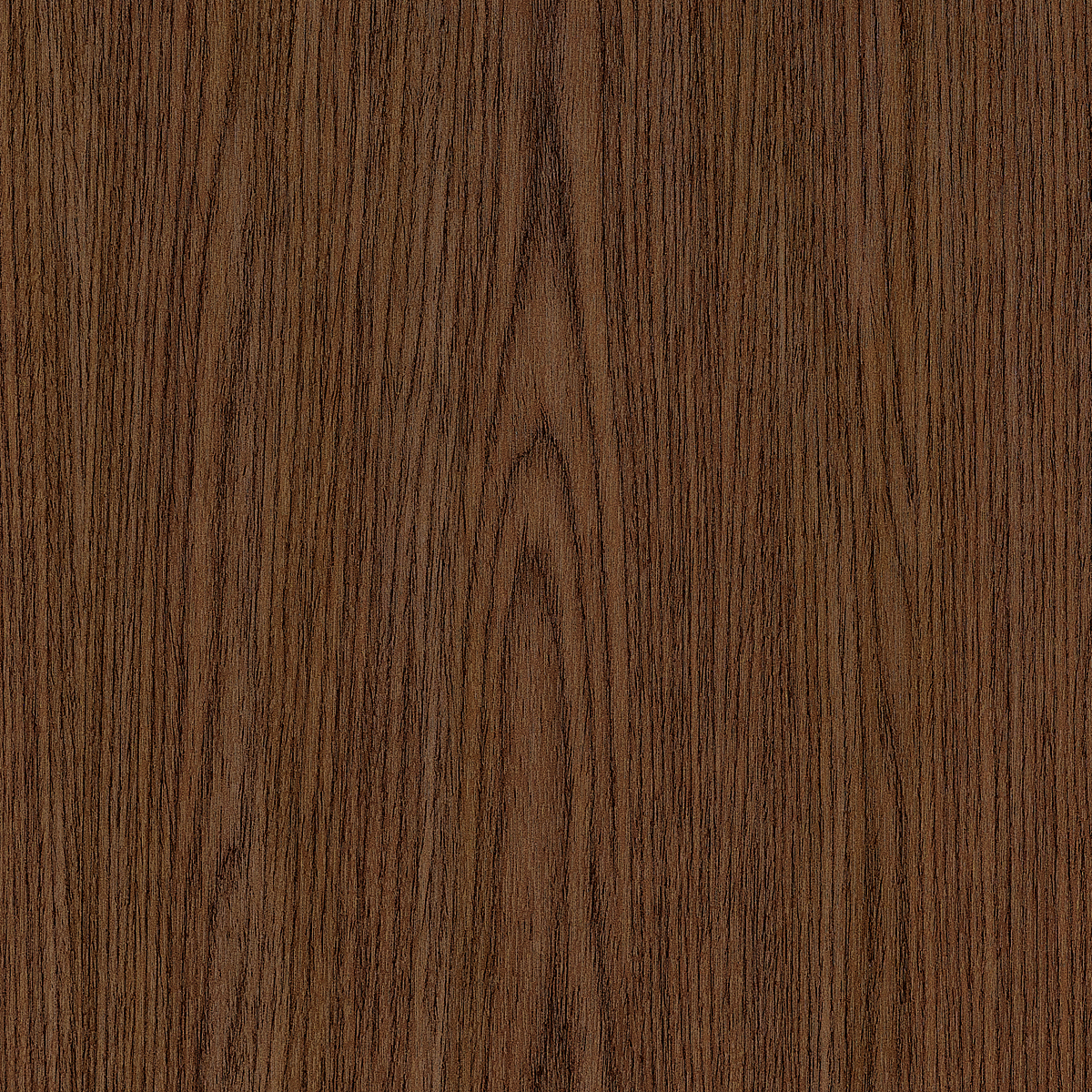 Honeyed Walnut