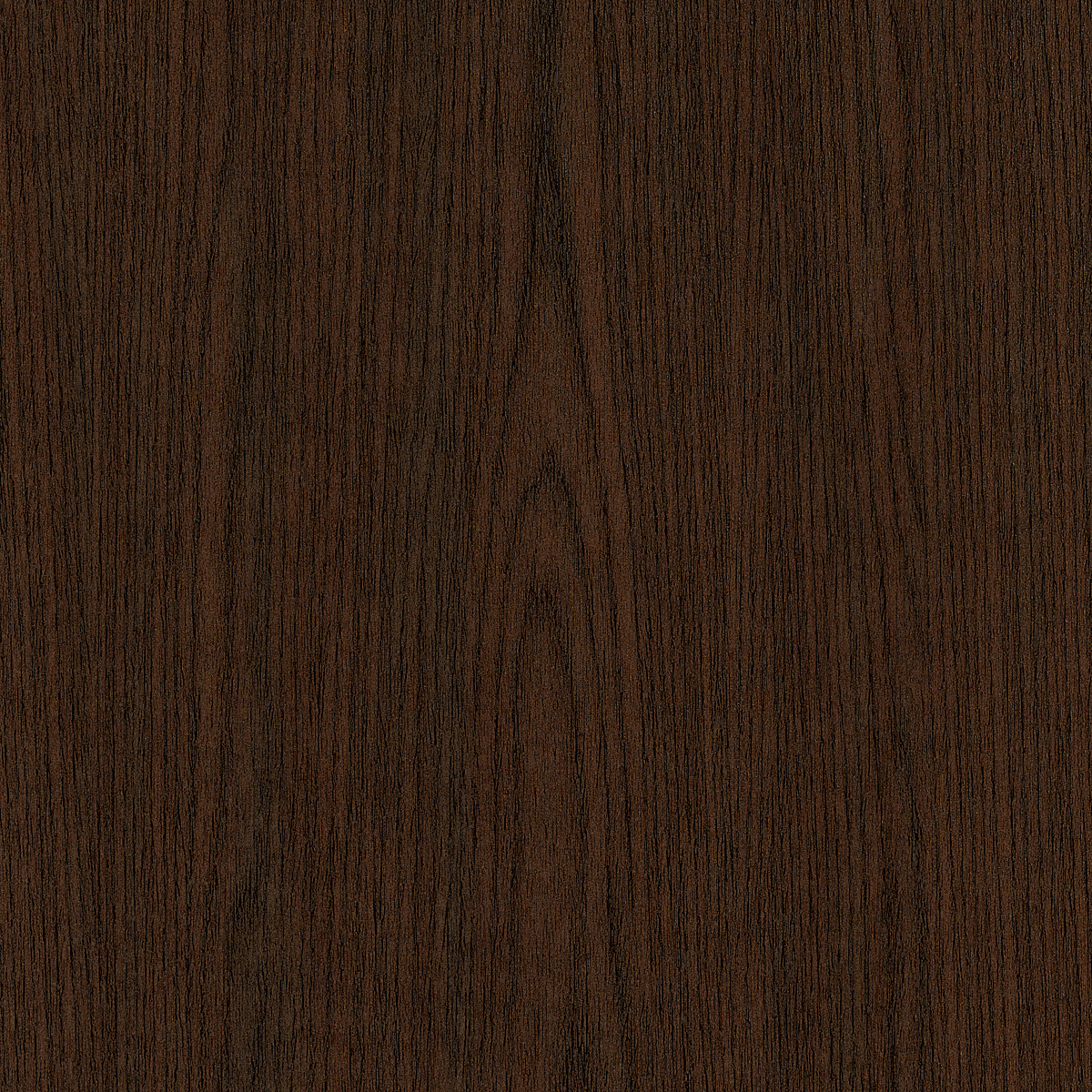 Chestnut