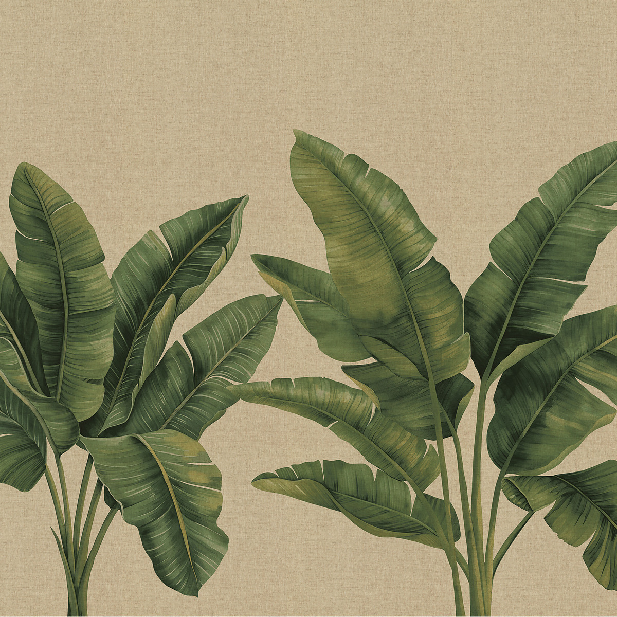 Palmera — Oasis Shade on Japanese Paperweave